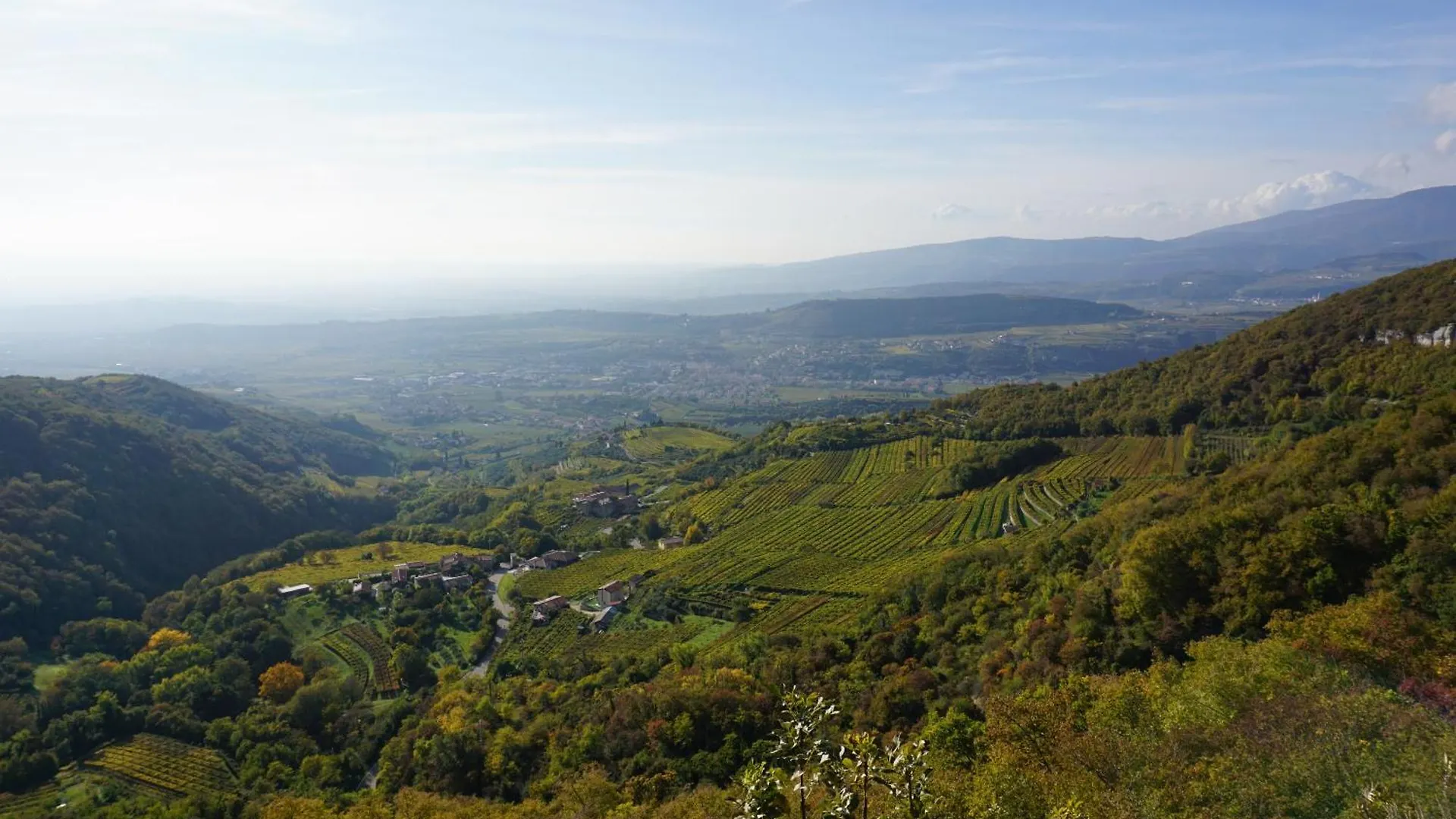 La Corte In Valpolicella 네그라르 아파트